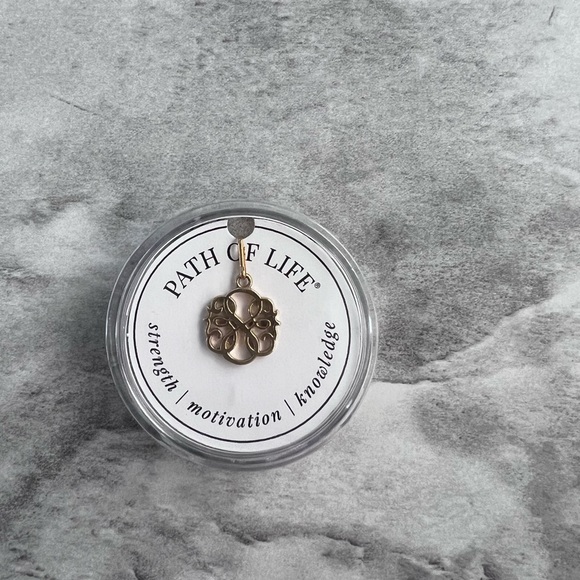 NEW Alex and Ani Gold Path of Life Pendant Chain Station 925 Silver NIB - Picture 1 of 2